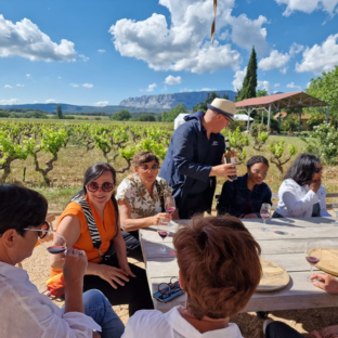 unmissable wine tour in the morning