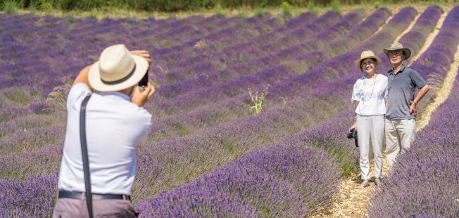 excursion in the typical Provencal villages.