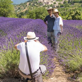 discovery of the Provencal market with local flavors