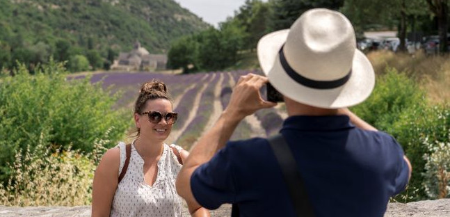 Visit the lavender fields