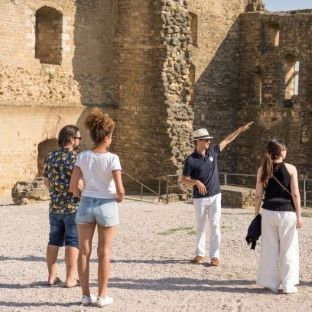 Private full-day tour from Arles