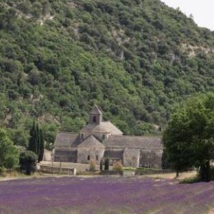 Abbey of Sénanque