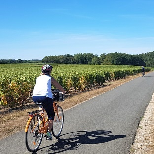 Découverte Amboise & vignobles Vouvray à vélo électrique