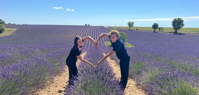 champs de lavande en Provence
