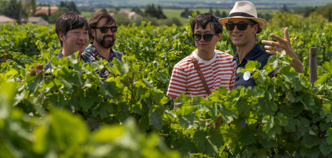 La route des vins Châteauneuf-du-Pape