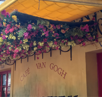 découverte la culture provençale