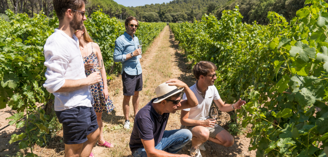 dégustation dans les caves de Chateauneuf du Pape
