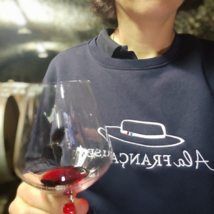 Découverte de la ville historique d’Avignon